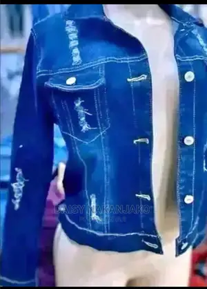 Ladies Simple Jean Jacket