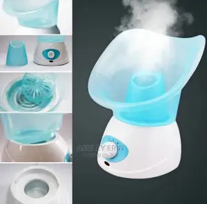 Benice Facial Steamer