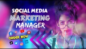 Social Media Accounts Manager