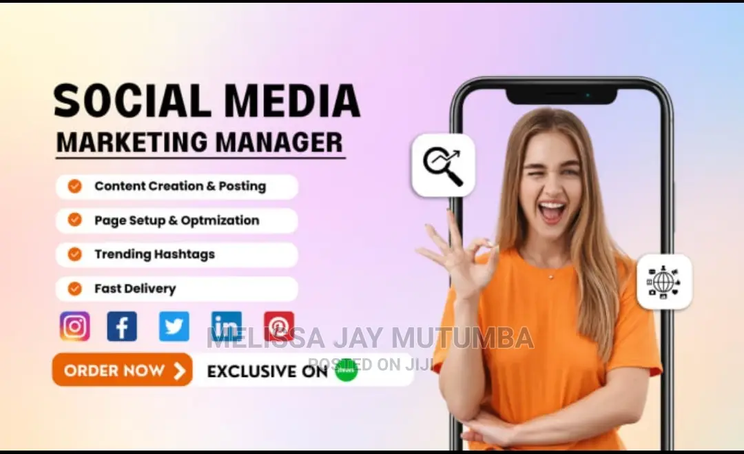 Social Media Accounts Manager