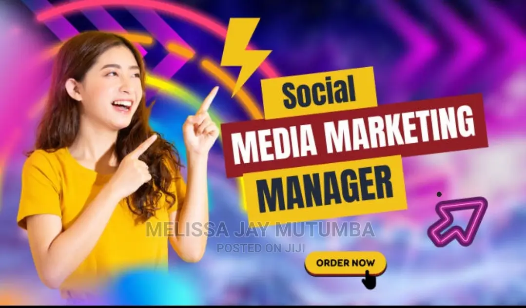 Social Media Accounts Manager
