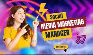 Social Media Accounts Manager