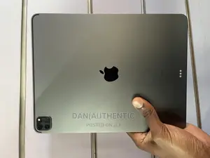 Apple iPad Pro 12.9 (2021) 256 GB Gray