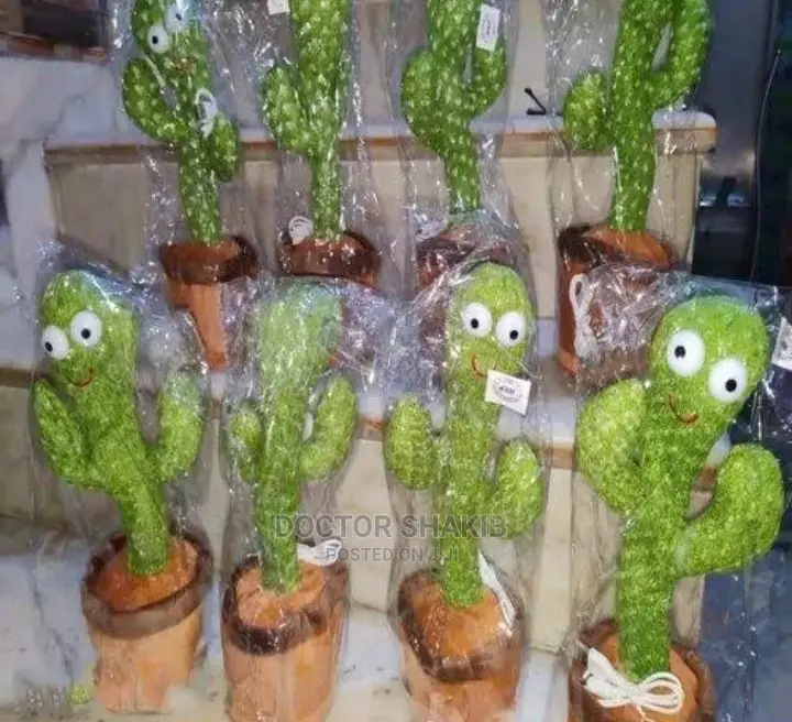 Dancing Cactus for Boys and Girls