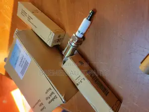 Spark Plug Tourage
