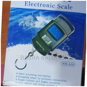 Portable Electronic Digital Scale