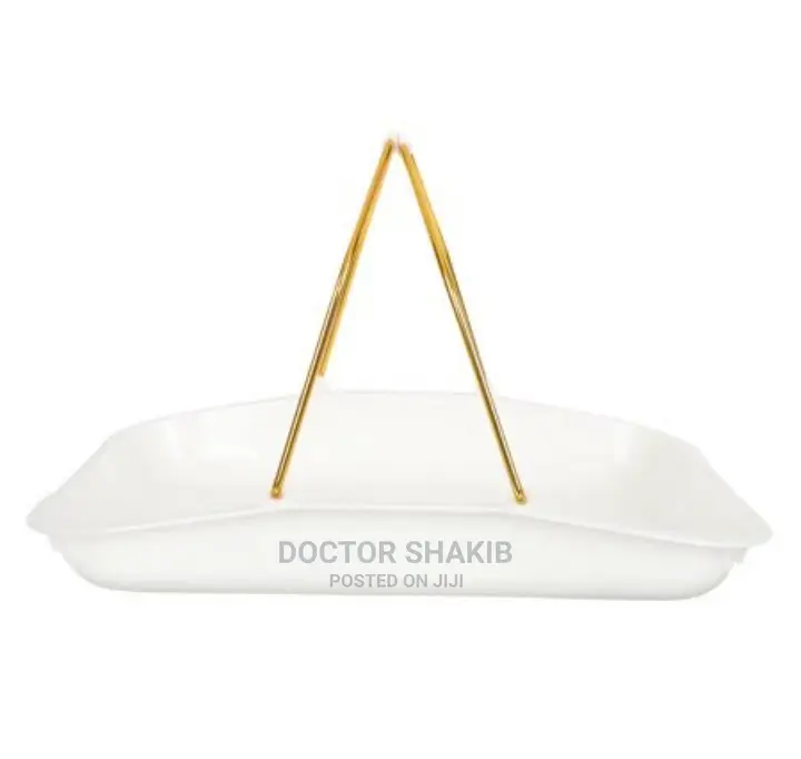 Plastic Tray With Metallic Golden Handles
