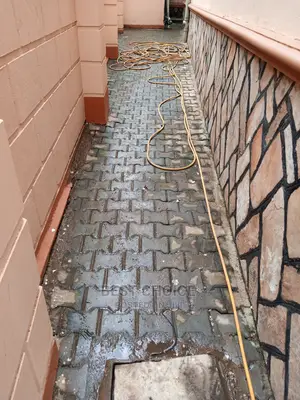 Paver/ Path Way Cleaning