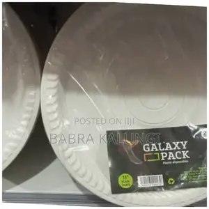 25pcs Plastic Disposable Plates With Partitions
