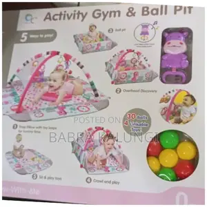 Baby Activity Gym and Ball Pit