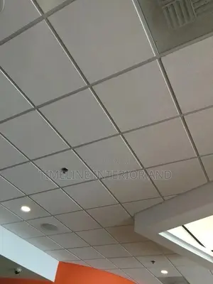 Gypsum and Suspended Ceiling