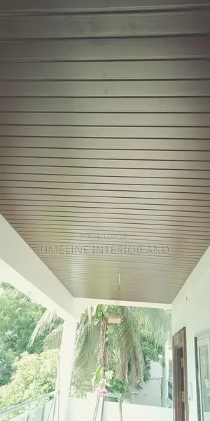 White PVC and Gypsum Ceiling