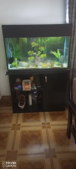 Simple Aquarium and Precise