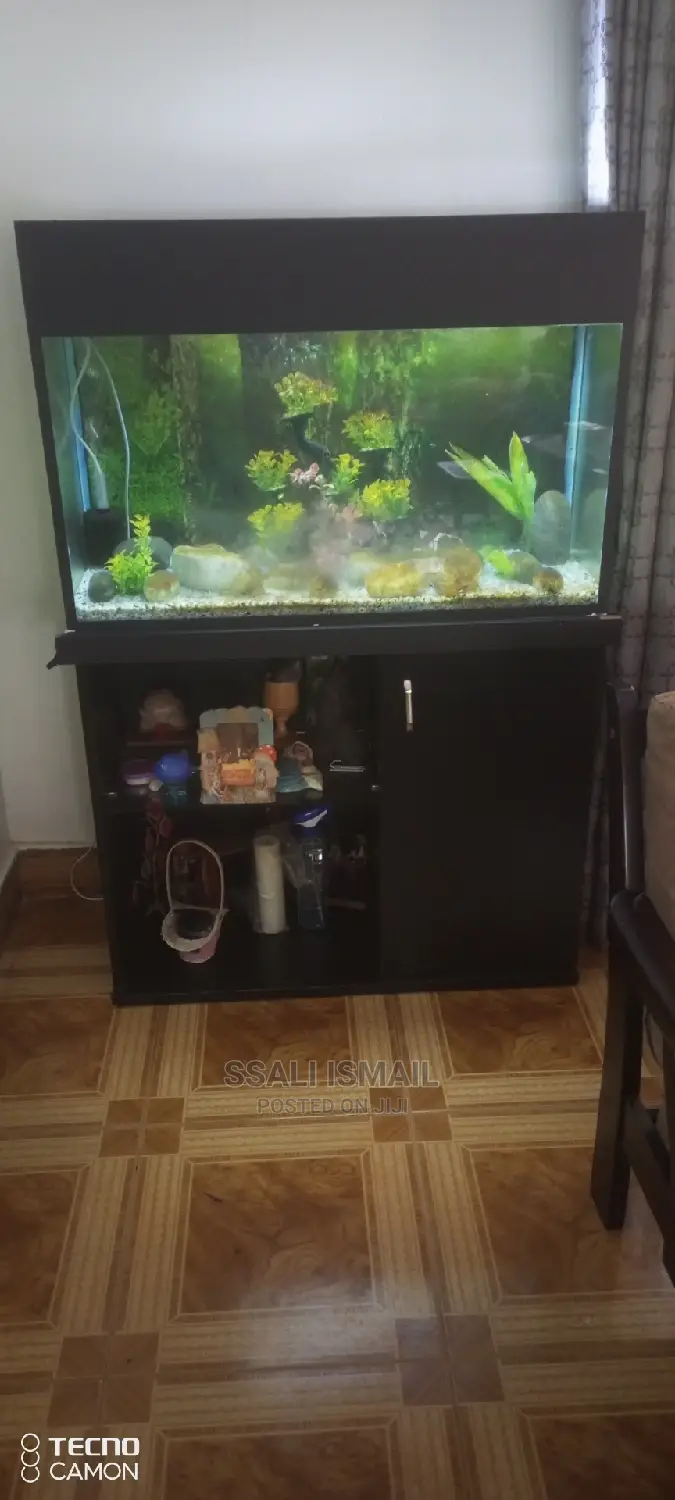 Simple Aquarium and Precise