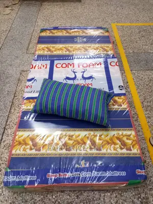 Mattress Sealed Cover.3*6*6 Inches.( Brown)