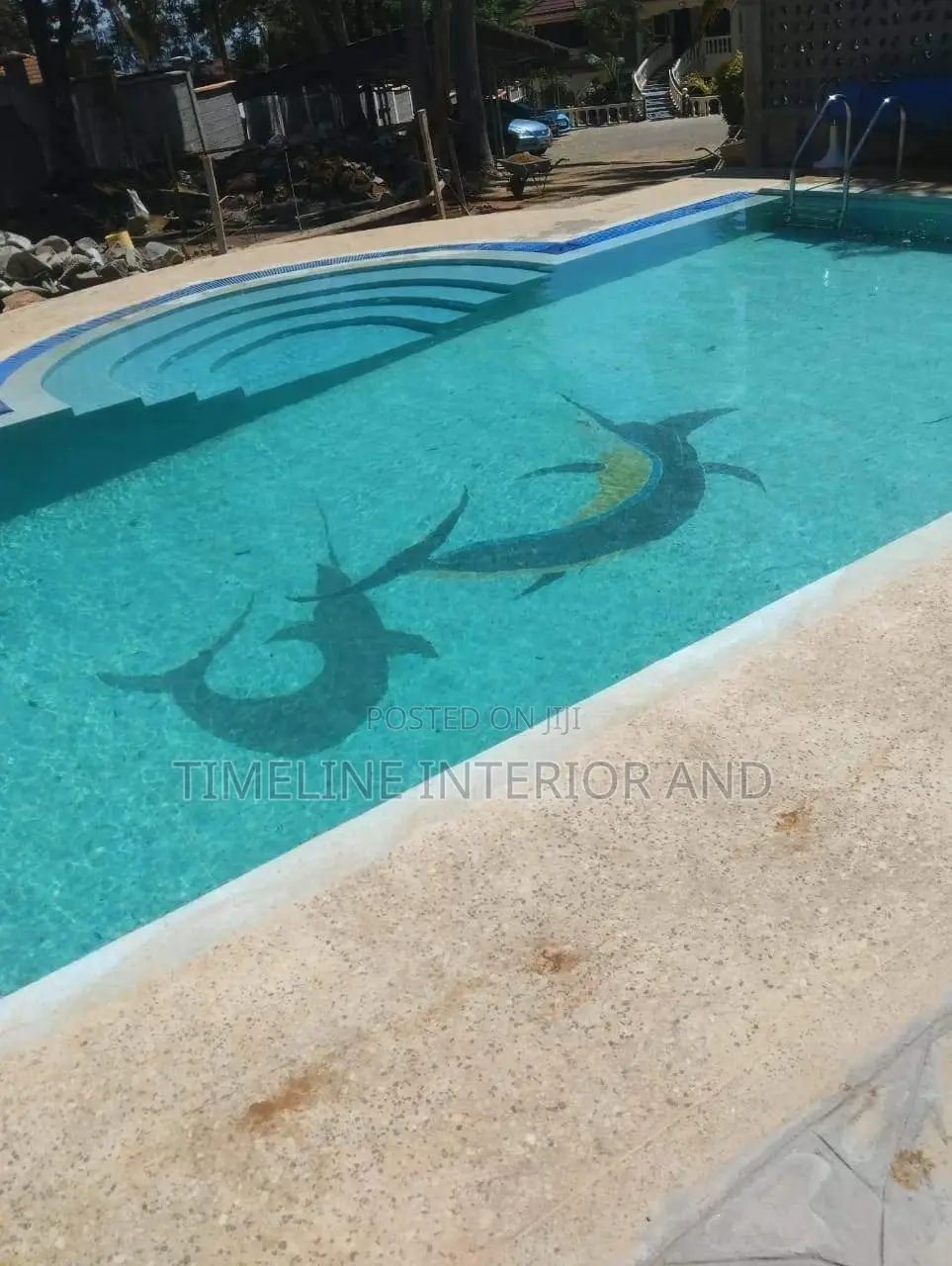 Executive Swimming Pool Construction.
