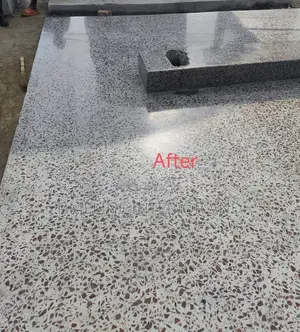 Terrazzo Flooring Before and After.