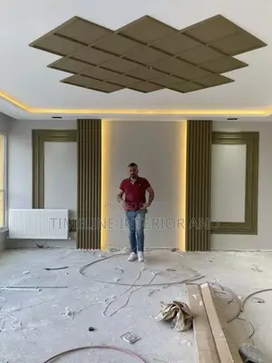 Executive Wall Panels and Gypsum Plaster