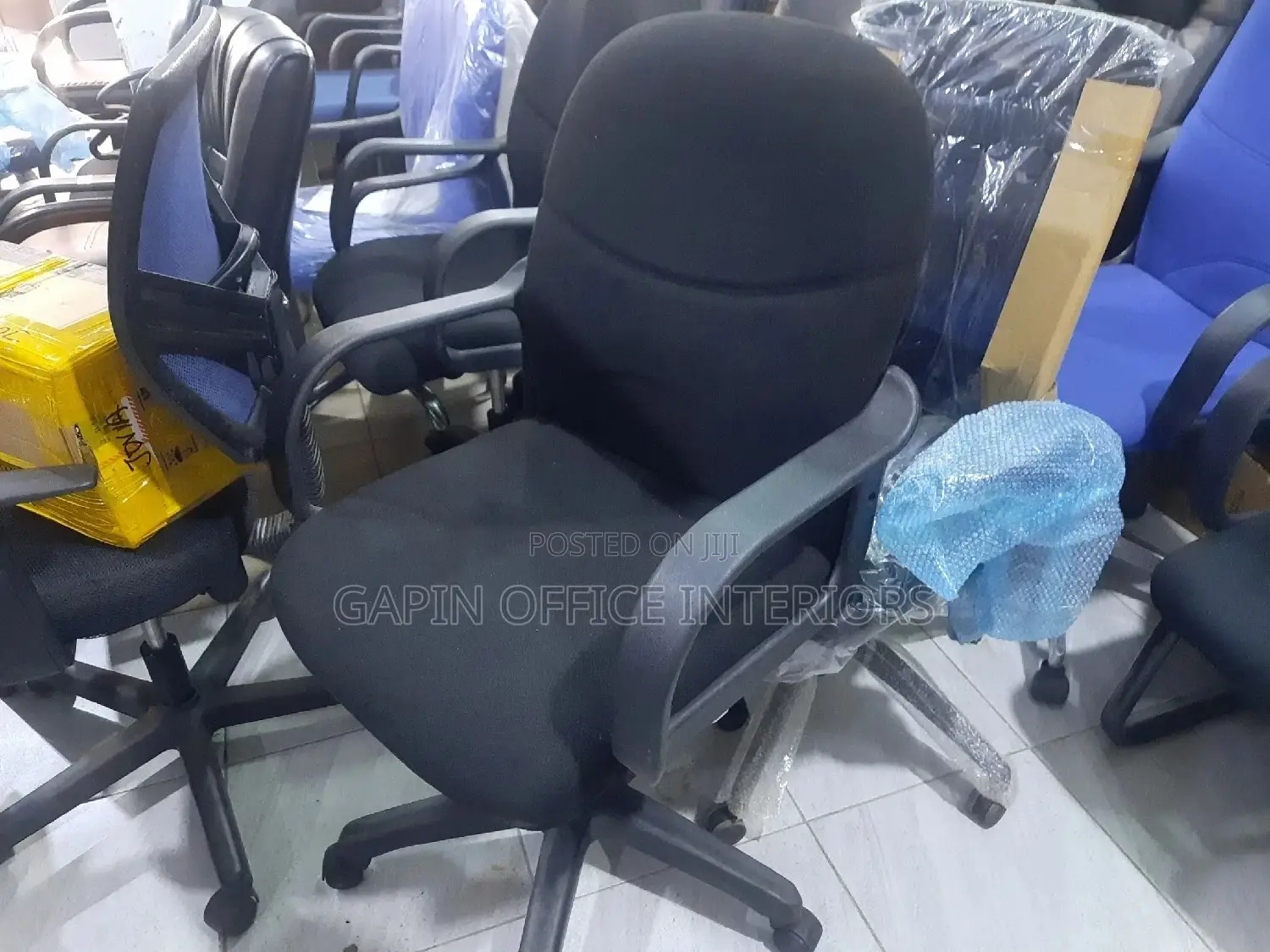 Office Short Back
