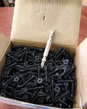 Gypsum Drilling Black Screws.