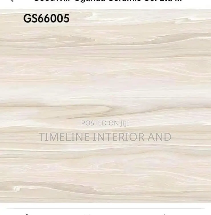 Flooring Tiles Code GS66005