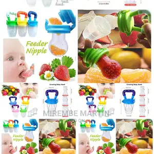 Kids Fruit Feeder