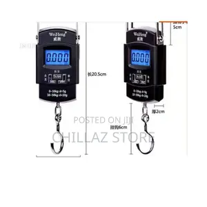 Electronic Portable Digital Scale.