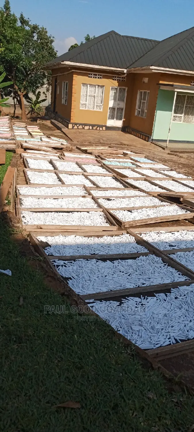 Original School Chalk Machine (800pieces)