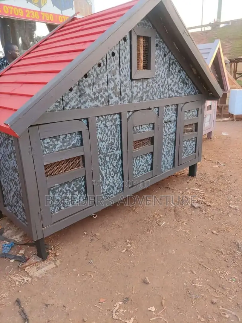 Dog Kennels for 3