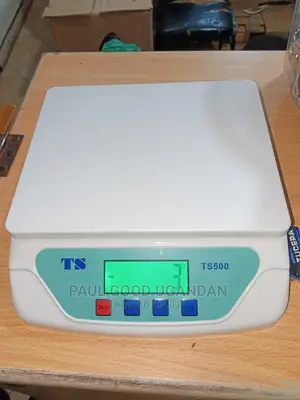 Ts Digital Scale 30kg