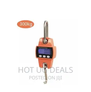Crane 300 Kgs Cast Iron Weighing Scale With Digital Screen