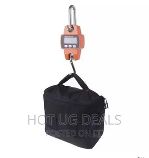 Crane 300 Kgs Cast Iron Weighing Scale With Digital Screen