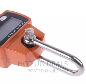 Crane 300 Kgs Cast Iron Weighing Scale With Digital Screen