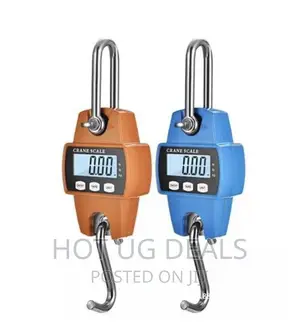 Crane 300 Kgs Cast Iron Weighing Scale With Digital Screen