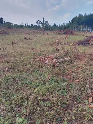 50ft×100ft Titled Plots for Sale at Katende Kavule Mpigi at 15m