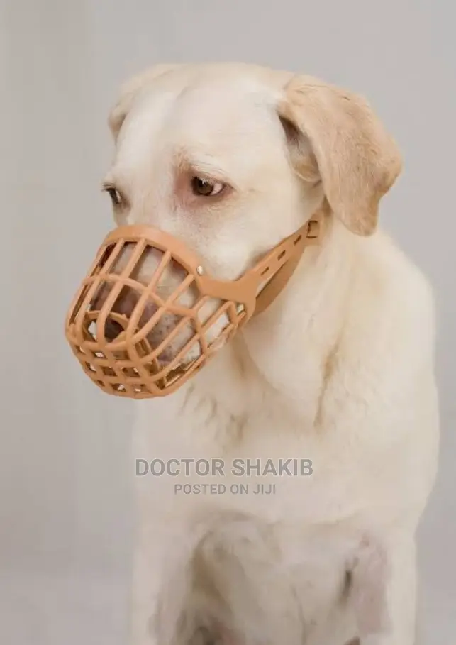 High Quality Dog Muzzles