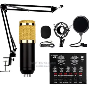 Professional Condenser Microphone