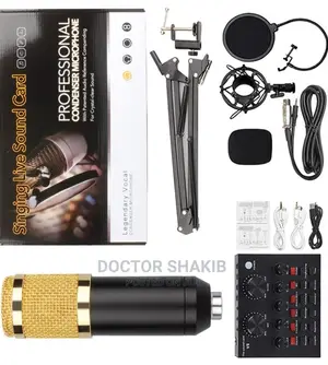 Professional Condenser Microphone