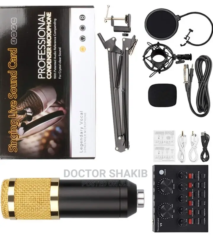 Professional Condenser Microphone