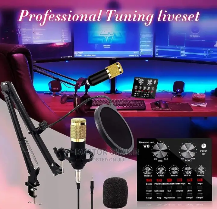 Professional Condenser Microphone