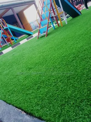Grass Carpet/Artificial Turf Grass/Grass Carpet