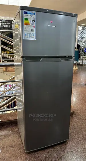 Hisense 328l Double Door Fridge Frost Free