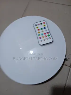 Bulb Lamp Smart Ceiling