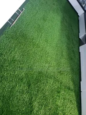Artificial Turf Grass Carpet/Grass Carpet/Grass Carpet