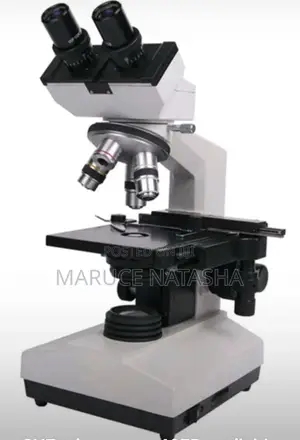 Microscope