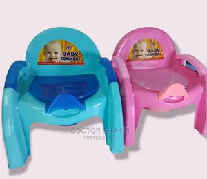 2 in 1 Baby Potty