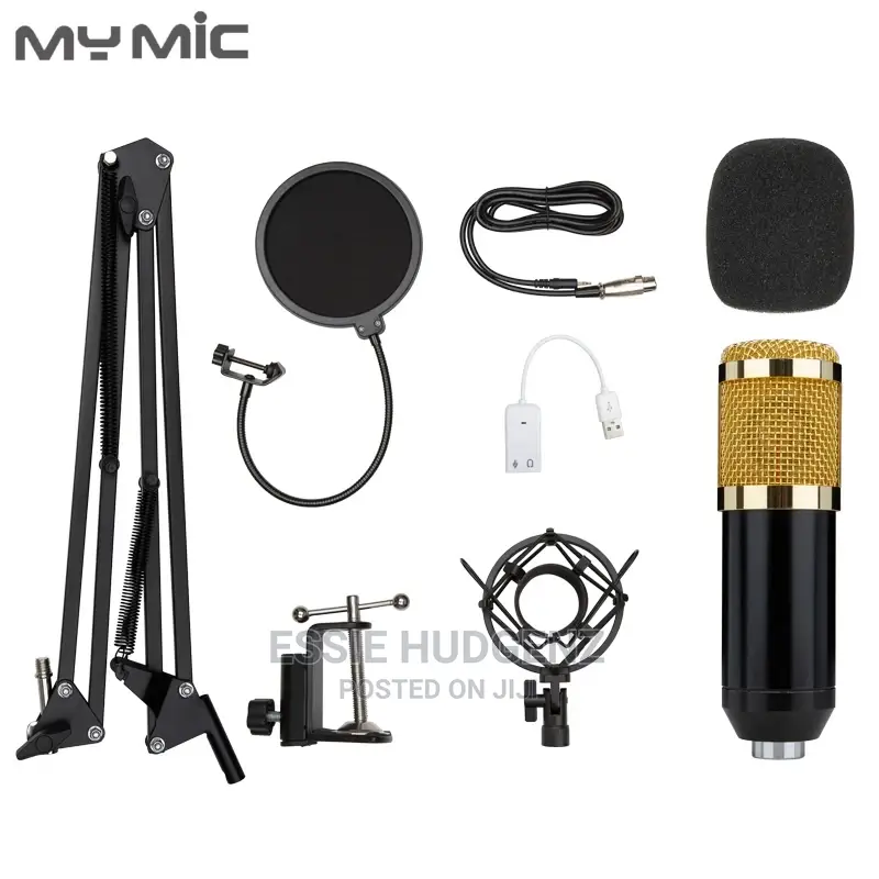 B800 Condenser Studio Recording Microphone