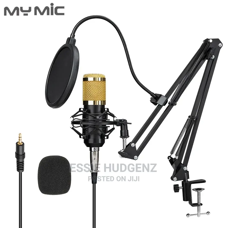 B800 Condenser Studio Recording Microphone