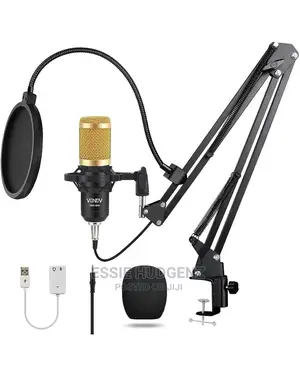 B800 Condenser Studio Recording Microphone
