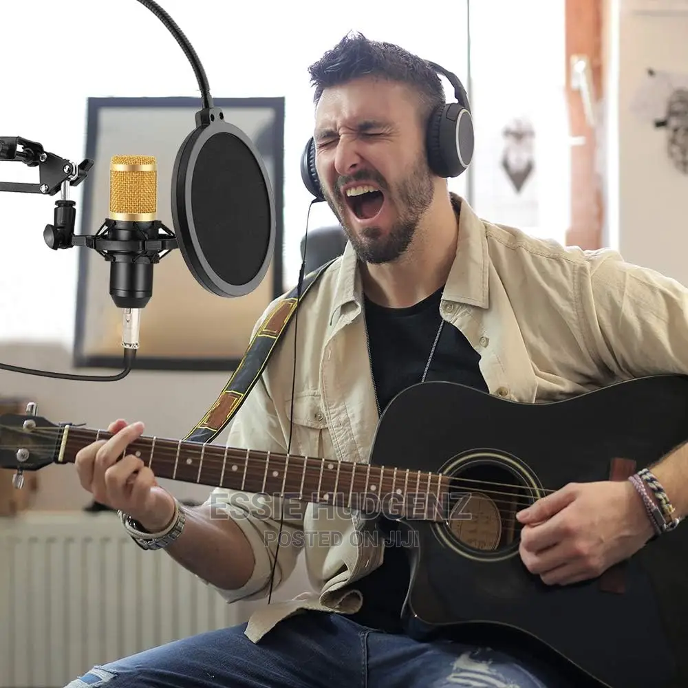 B800 Condenser Studio Recording Microphone